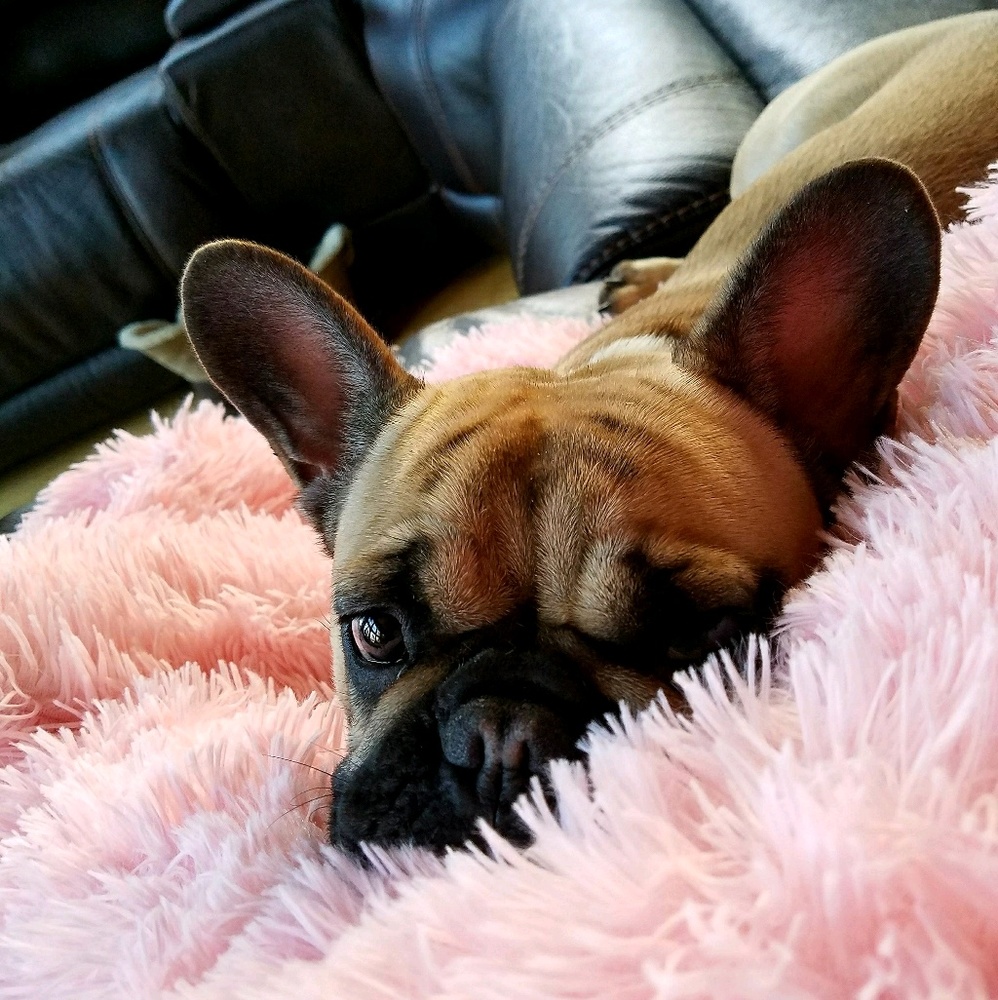 Meet your Posher, Traci